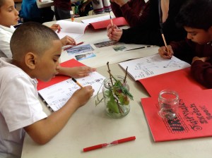 Photo 18-06-2012 13 17 15