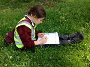 Photo 20-06-2012 10 02 42